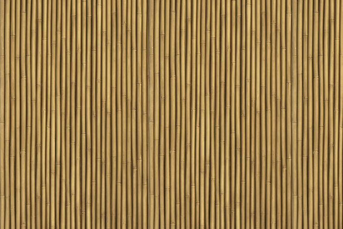 panneau-mural-bambou